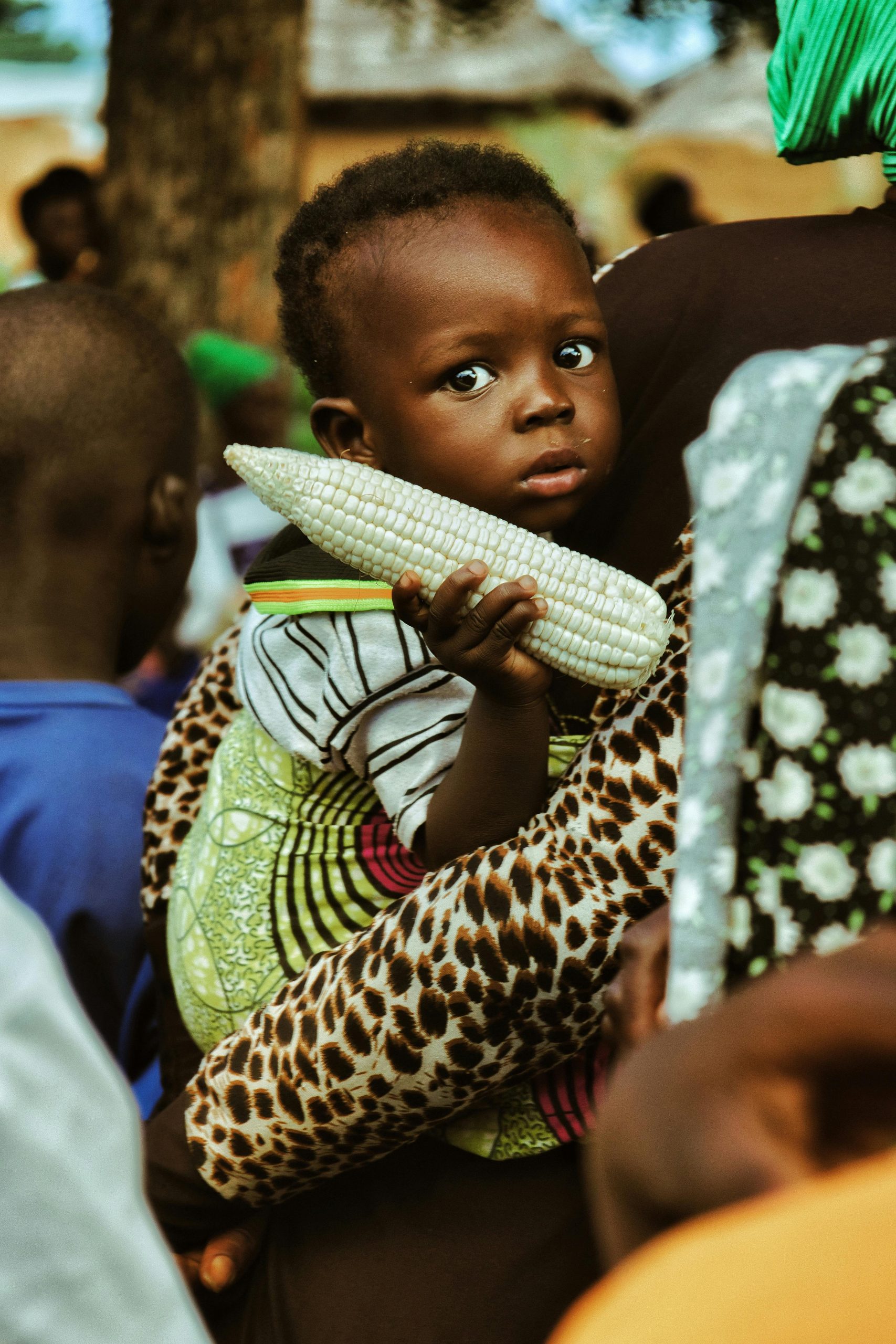 about-02 pexels-elsaboath-28586115